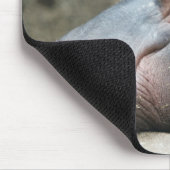 Hippopotamus mousepad muismat (Hoek)