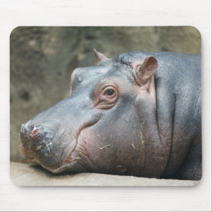 Hippopotamus mousepad muismat