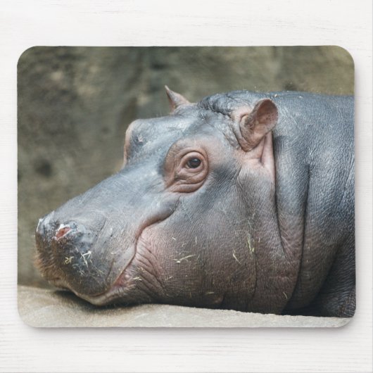 Hippopotamus mousepad muismat (Voorkant)