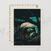 hippopotamus nabij een rivier, hippo briefkaart (Voorkant / Achterkant)