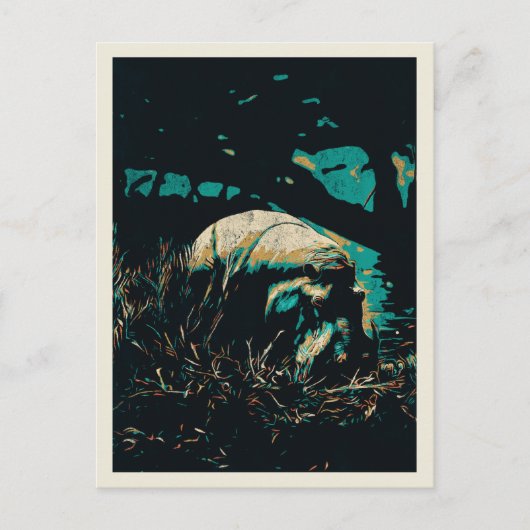 hippopotamus nabij een rivier, hippo briefkaart (Voorkant)