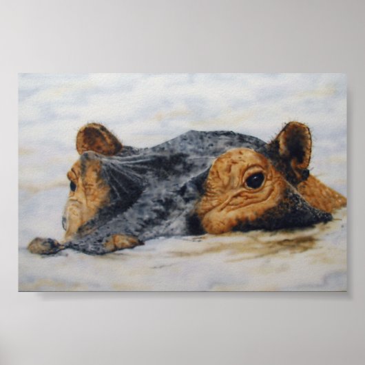 hippopotamus poster (Voorkant)