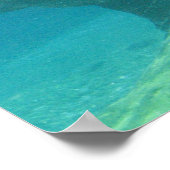 Hippopotamus Poster (Hoek)