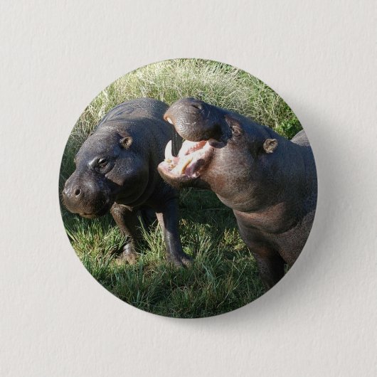 Hippopotamus Ronde Button 5,7 Cm (Voorkant)