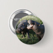 Hippopotamus Ronde Button 5,7 Cm (Voorkant /achterkant)