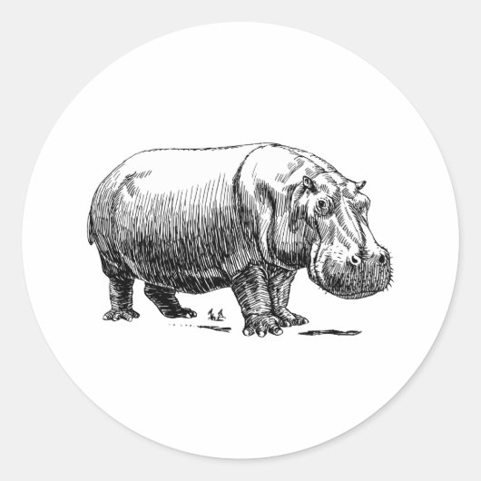 Hippopotamus Ronde Sticker (Voorkant)