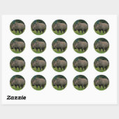 Hippopotamus stickers (Vel)