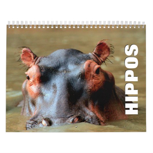 Hippopotamus Wall Agenda Kalender (Hoes)