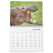Hippopotamus Wall Agenda Kalender (Jan 2026)