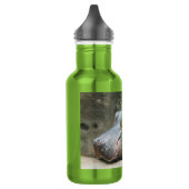 Hippopotamus Waterfles (Links)