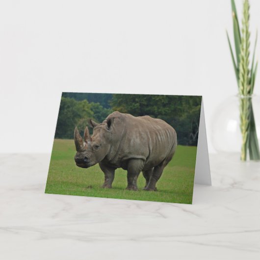 Hippopotamus wenskaart kaart (Voorkant)