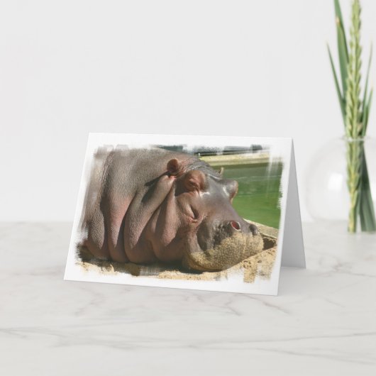 Hippopotamus Wenskaart Kaart (Voorkant)