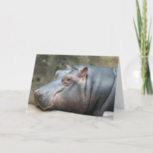 Hippopotamus wenskaart kaart