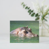 Hippopotamus zwemt op het oppervlak briefkaart (Staand voorkant)