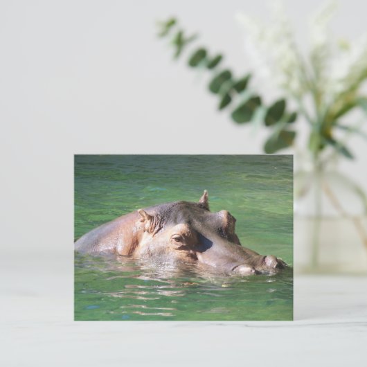 Hippopotamus zwemt op het oppervlak briefkaart (Staand voorkant)
