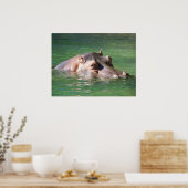 Hippopotamus zwemt op het oppervlak poster (Keuken)