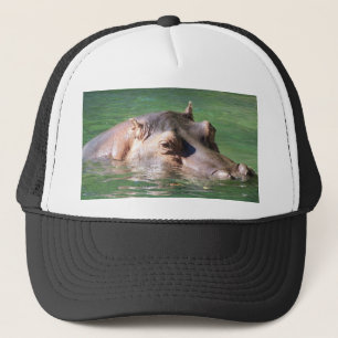Hippopotamus zwemt op het oppervlak trucker pet