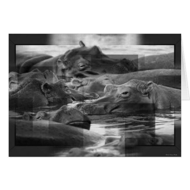 Hippopotamusese Kaart (Voorkant Horizontaal)