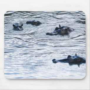 Hippopotamussen die in een rivier in Afrika wringe Muismat