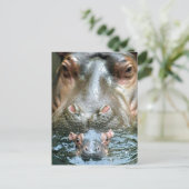 Hippopotamussen en Baby Briefkaart (Staand voorkant)