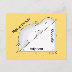 HIPPOPOTENUSE briefkaart: Sandra Boynton Briefkaart