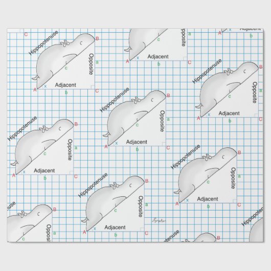 HIPPOPOTENUSE: Sandra Boynton Cadeaupapier (Vlak)