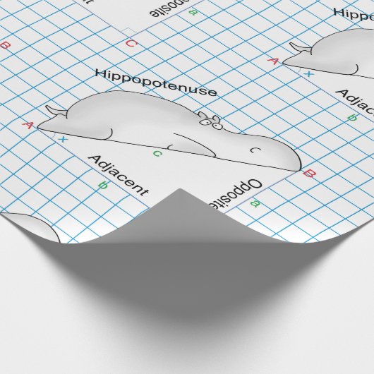 HIPPOPOTENUSE: Sandra Boynton Cadeaupapier (Hoek)