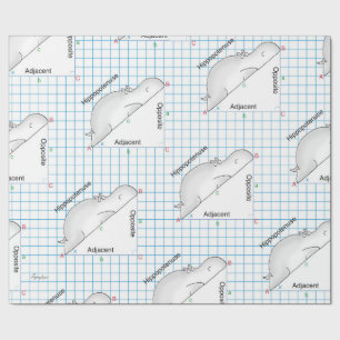 HIPPOPOTENUSE: Sandra Boynton Cadeaupapier
