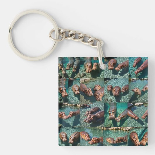 Hippos bij Play: A Pond Paradise Sleutelhanger (voorkant)