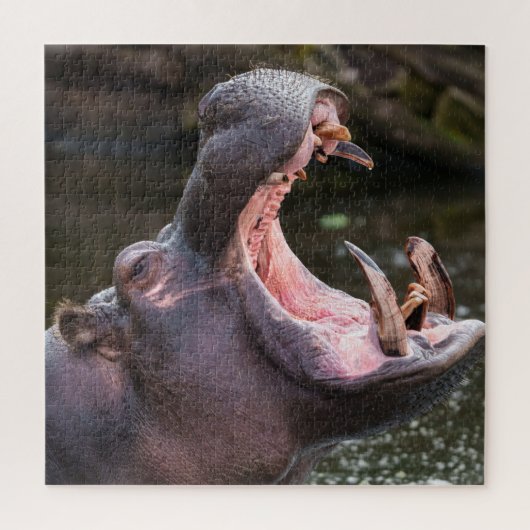 Hippo's enorme kaken legpuzzel (Verticaal)