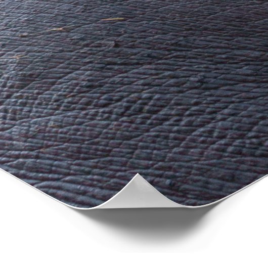 Hippo's enorme kaken poster (Hoek)