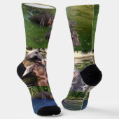 Hippos in een Sokken voor een hond (Gebogen)