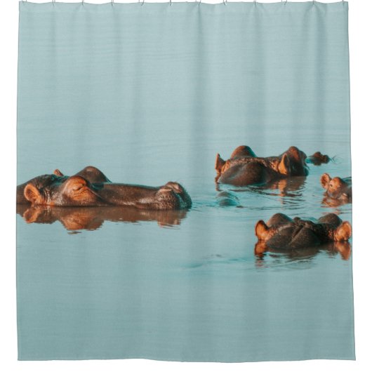 HIPPOS KOELEN UIT IN DE DAM DOUCHEGORDIJN (Voorkant)