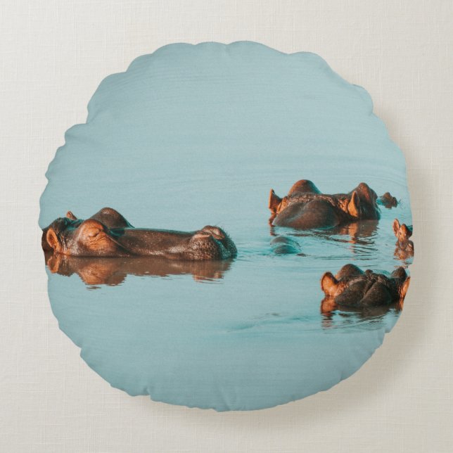 HIPPOS KOELEN UIT IN DE DAM ROND KUSSEN (Voorkant)