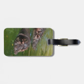Hippos zwemmen in een hond, bagagelabel (Achterkant horizontaal)
