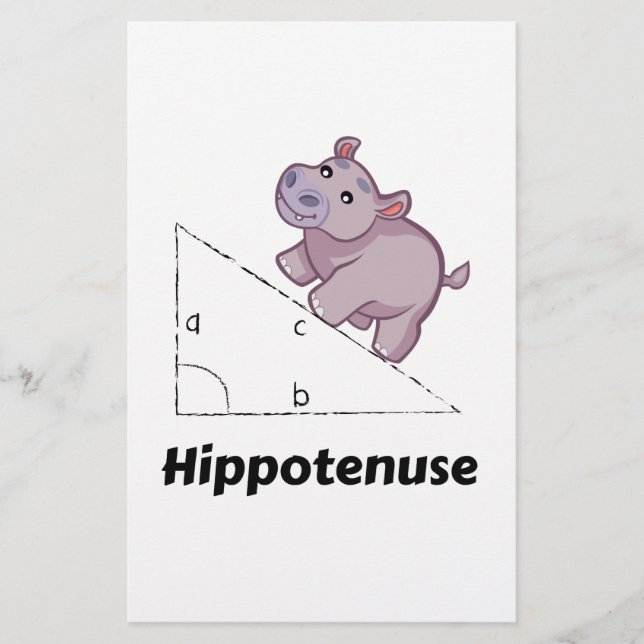 Hippotenuse Funny Wiskunde (Voorkant)