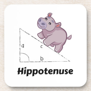 Hippotenuse Funny Wiskunde Bier Onderzetter