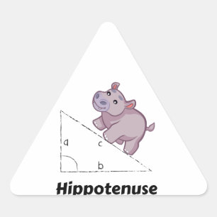 Hippotenuse Funny Wiskunde Sticker