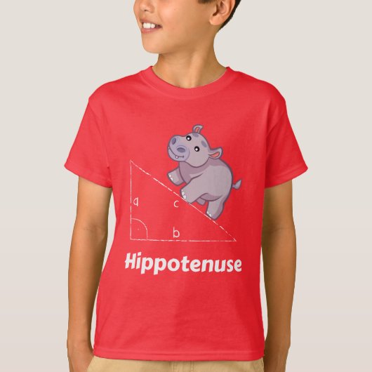 Hippotenuse Funny Wiskunde T-shirt (Voorkant)