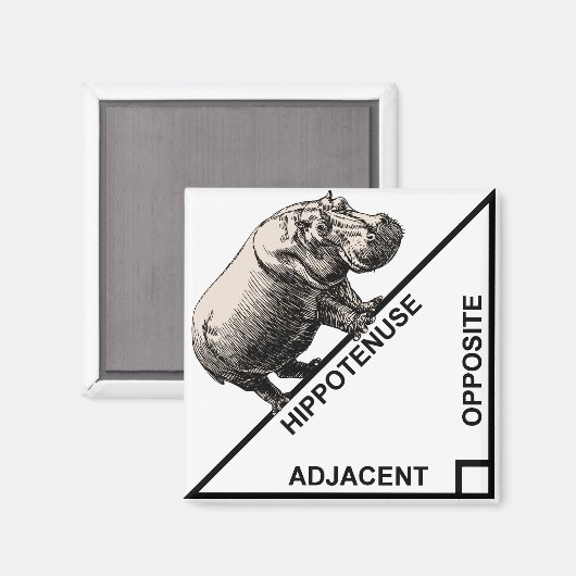 Hippotenuse Hypotenuse Funny Wiskunde Geometry Mag Magneet (Voorkant / Achterkant)