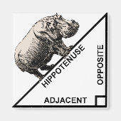 Hippotenuse Hypotenuse Funny Wiskunde Geometry Mag Magneet (Voorkant)