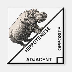 Hippotenuse Hypotenuse Funny Wiskunde Geometry Mag Magneet