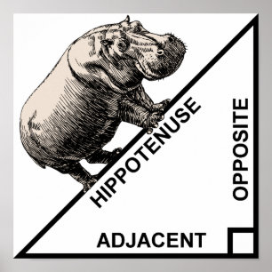 Hippotenuse Hypotenuse Funny Wiskunde Geometry Pos Poster