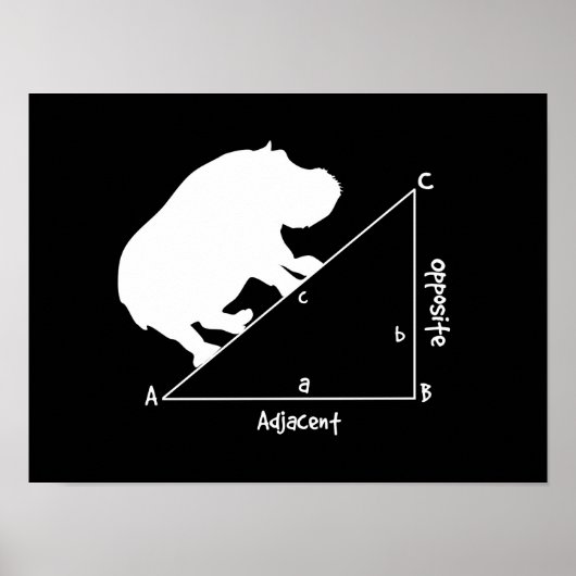 Hippotenuse Poster (Voorkant)