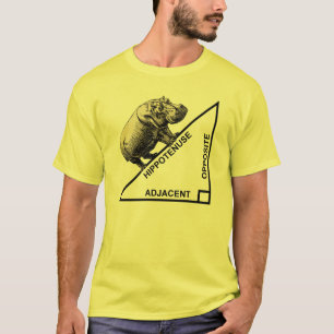 Hippotus Hypotenusa Grappige Wiskunde Geometrie T- T-shirt