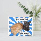 Hippy Kat Blah Blah Blah, wat dan ook! Briefkaart (Staand voorkant)