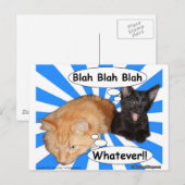 Hippy Kat Blah Blah Blah, wat dan ook! Briefkaart (Voorkant / Achterkant)
