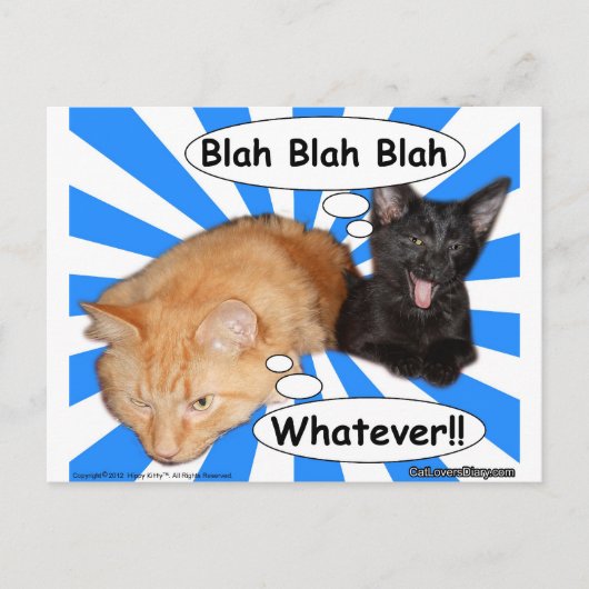 Hippy Kat Blah Blah Blah, wat dan ook! Briefkaart (Voorkant)