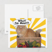 Hippy Kat Wat! Geen vlees!! Briefkaart (Voorkant / Achterkant)