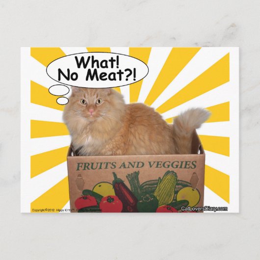 Hippy Kat Wat! Geen vlees!! Briefkaart (Voorkant)
